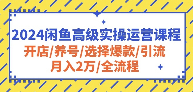 2024闲鱼高级实操运营课程：开店/养号/选择爆款/引流/月入2万/全流程-搞钱花