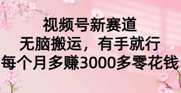 (9277期)视频号新赛道,无脑搬运,有手就行,每个月多赚3000多零花钱-搞钱花