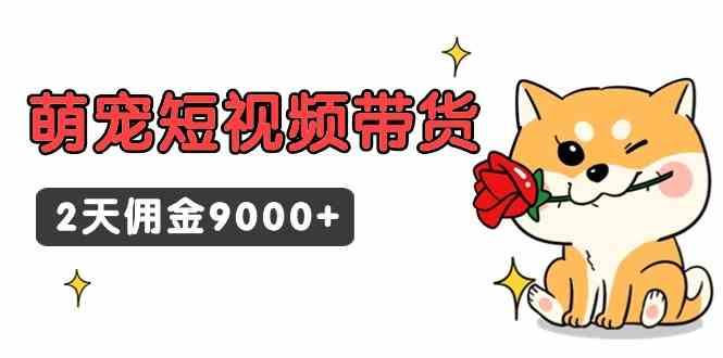 （9273期）东哲日记·萌宠短视频带货，2天佣金9000+-搞钱花