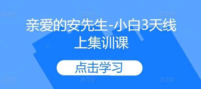亲爱的安先生-小白3天线上集训课-搞钱花