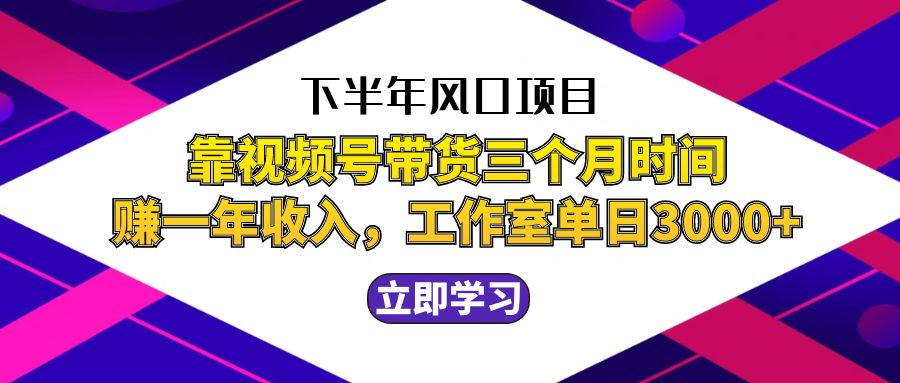 （12849期）下半年风口项目，靠视频号带货三个月时间赚一年收入，工作室实测单日3…-搞钱花
