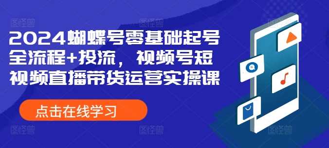 2024蝴蝶号零基础起号全流程+投流，视频号短视频直播带货运营实操课-搞钱花