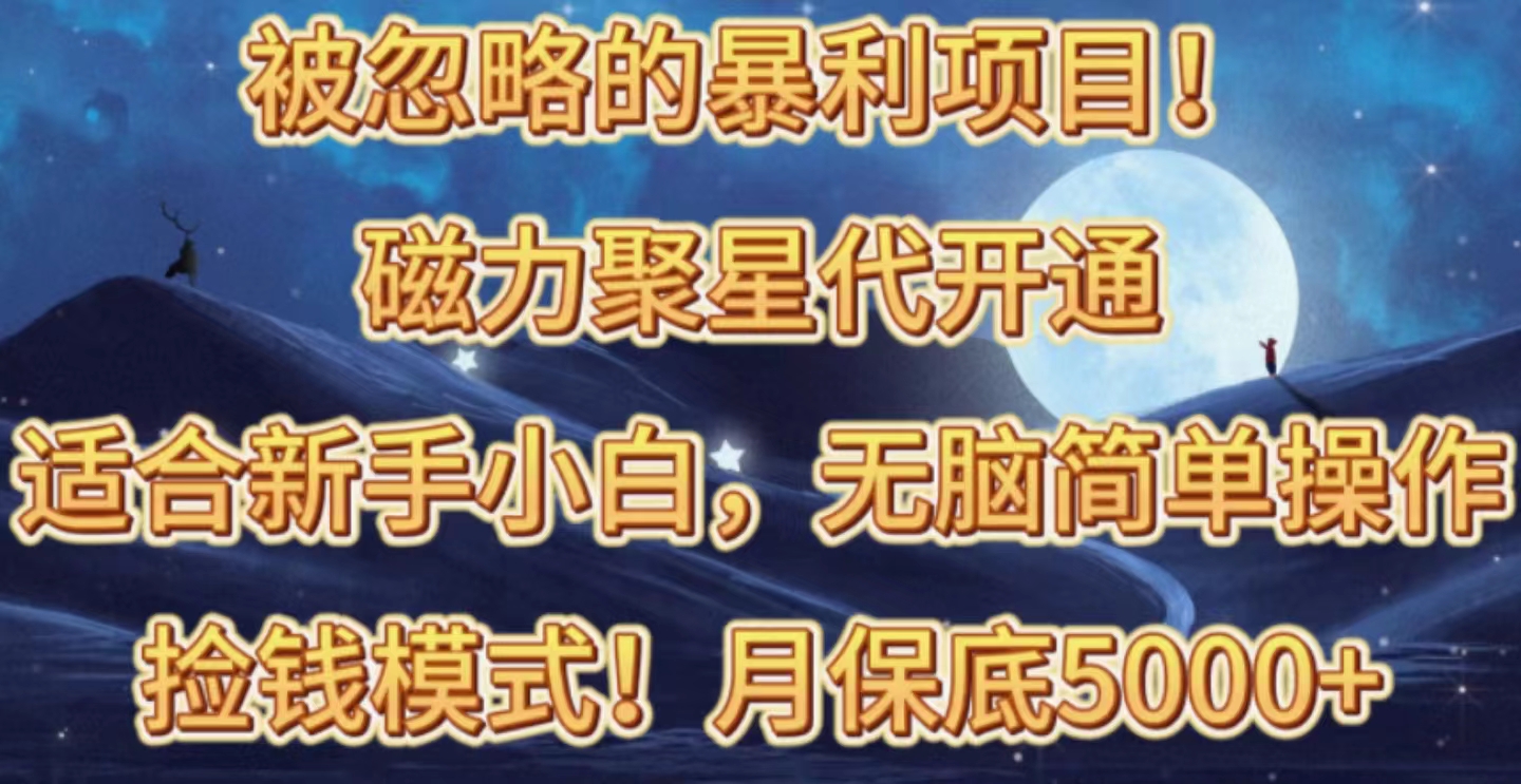（10245期）被忽略的暴利项目！磁力聚星代开通捡钱模式，轻松月入五六千-搞钱花