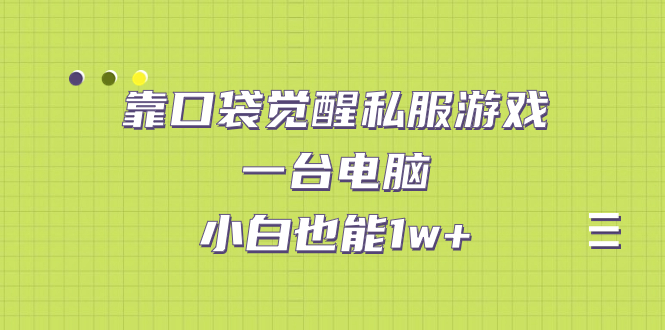靠口袋觉醒私服游戏，一台电脑，小白也能1w+（教程+工具+资料）-搞钱花