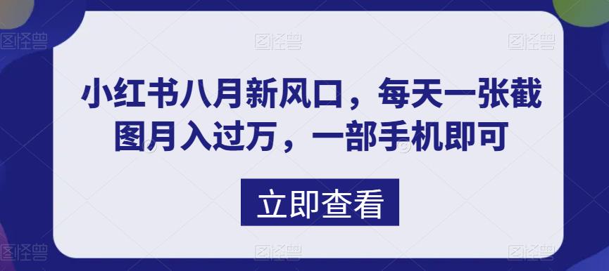 八月新风口,小红书虚拟项目一天收入1000+,实战揭秘-搞钱花