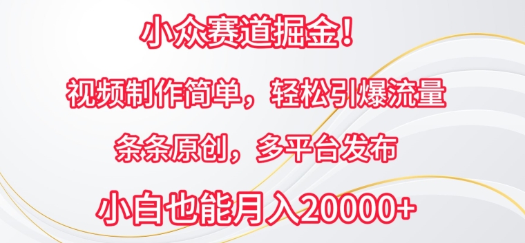 小众赛道掘金,视频制作简单,轻松引爆流量,条条原创,多平台发布-搞钱花