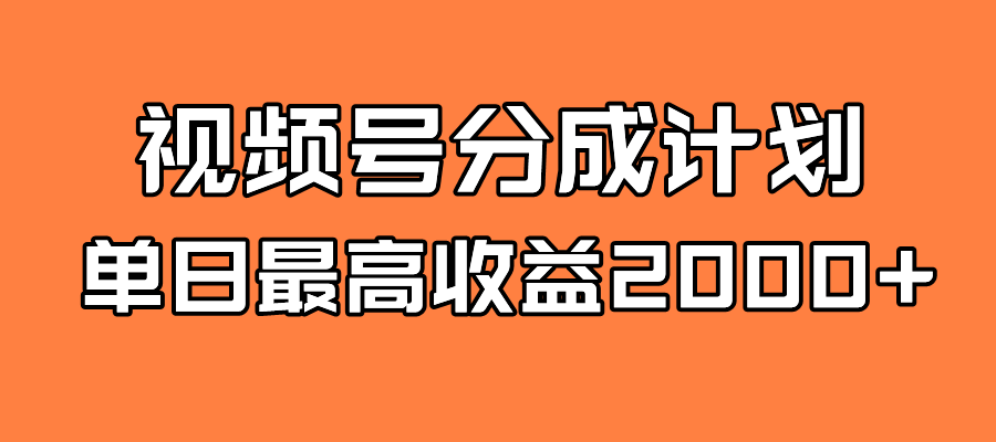 全新蓝海 视频号掘金计划 日入2000+-搞钱花