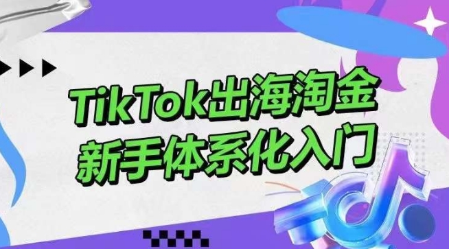 TikTok出海淘金，新手体系化入门，零基础快速入门，掌握短视频、直播带货等引流到变现的知识-搞钱花