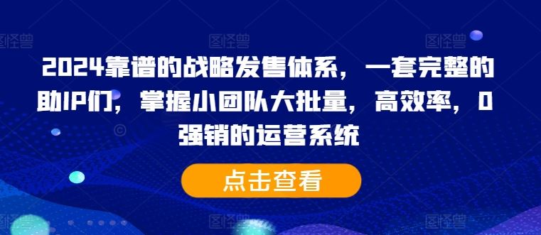 2024靠谱的战略发售体系,一套完整的助IP们,掌握小团队大批量,高效率,0 强销的运营系统-搞钱花
