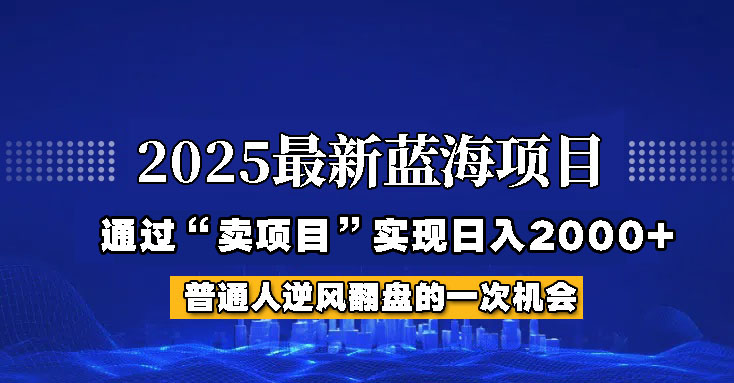 2025年蓝海项目，如何通过“网创项目”日入2000+-搞钱花