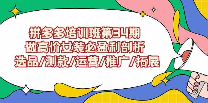 （9333期）拼多多培训班第34期：做高价女装必盈利剖析  选品/测款/运营/推广/拓展-搞钱花