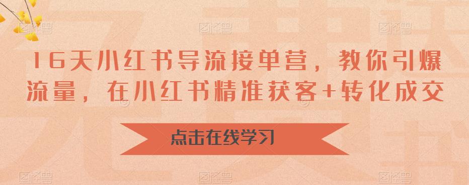 16天-小红书 导流接单营，教你引爆流量，在小红书精准获客+转化成交-搞钱花