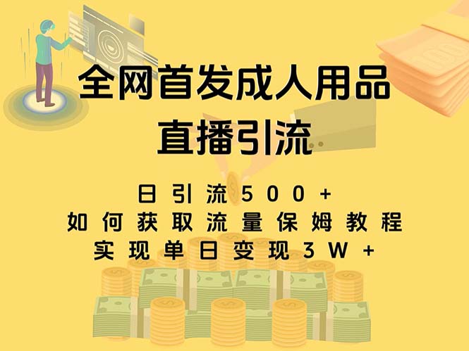 最新全网独创首发,成人用品直播引流获客暴力玩法,单日变现3w保姆级教程-搞钱花