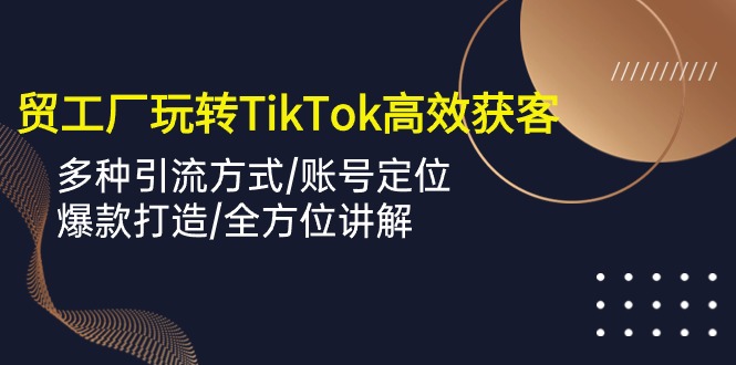（10302期）外贸工厂玩转TikTok高效获客，多种引流方式/账号定位/爆款打造/全方位讲解-搞钱花