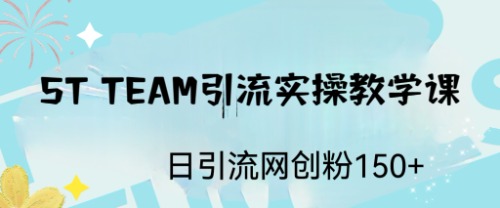 ST TEAM引流实操课，日引流网创粉100+-搞钱花