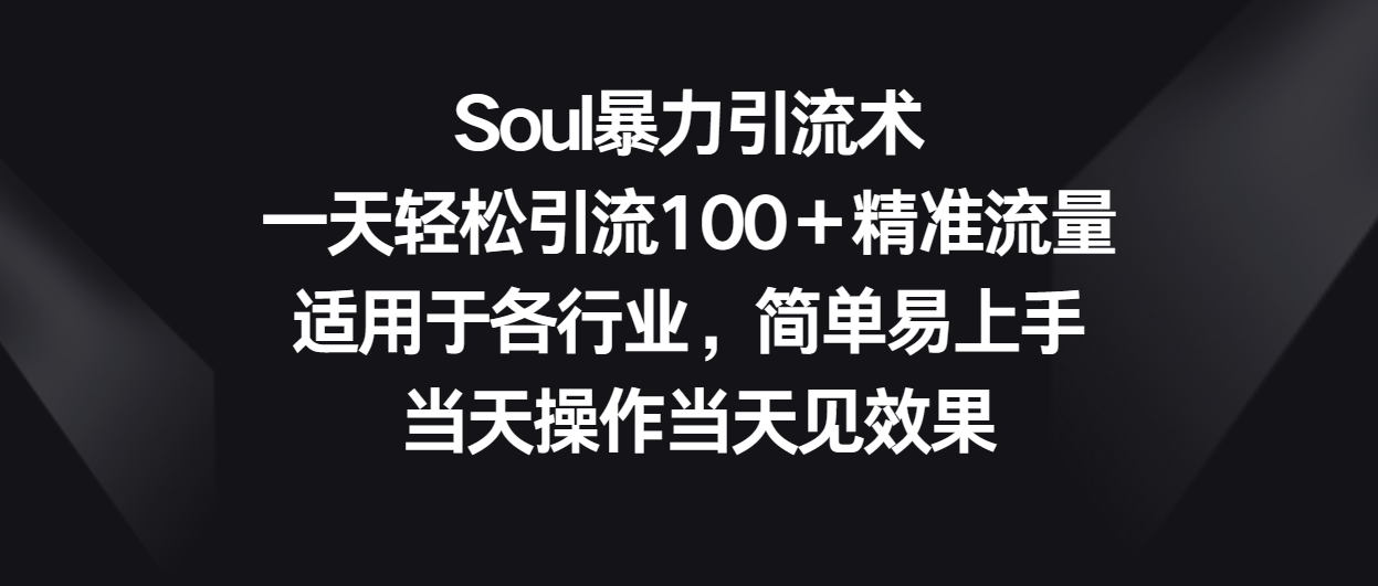 Soul暴力引流术，一天轻松引流100＋精准流量，适用于各行业，简单易上手！-搞钱花