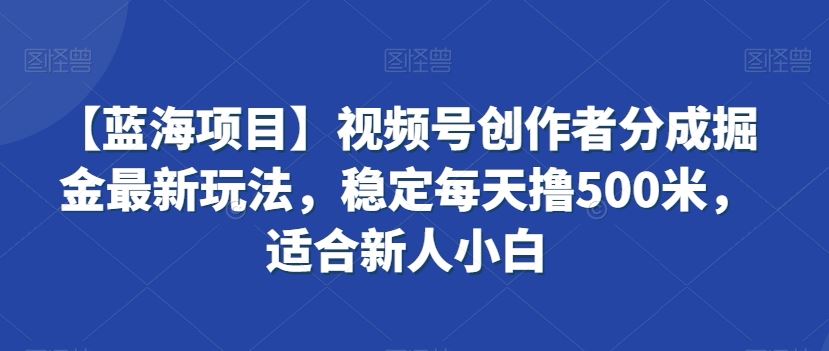 【蓝海项目】视频号创作者分成掘金最新玩法,稳定每天撸500米,适合新人小白【揭秘】
