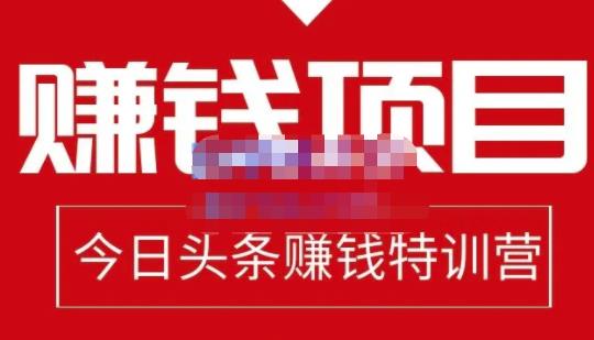 懒人领域·今日头条项目玩法，头条中视频项目，单号收益在50—500可批量￼-搞钱花