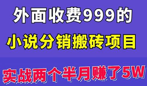 外面收费999的小说分销搬砖项目：实战两个半月赚了5W块，操作简单！￼-搞钱花
