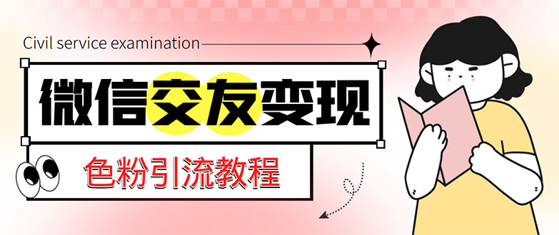 微信交友变现项目，吸引全网LSP男粉精准变现，小白也能轻松上手，日入500+-搞钱花