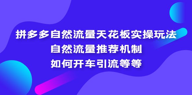 拼多多自然流量天花板实操玩法：自然流量推荐机制，如何开车引流等等-搞钱花