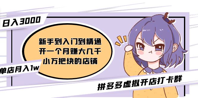 拼多多虚拟开店打卡群：新手到入门到精通（昨日群里有小伙伴日入3000+）-搞钱花