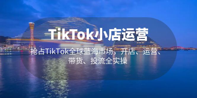 TikTok小店运营 抢占TikTok全球蓝海市场，开店、运营、带货、投流全实操-搞钱花