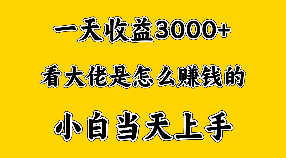 一天赚3000多，大佬是这样赚到钱的，小白当天上手，穷人翻身项目-搞钱花