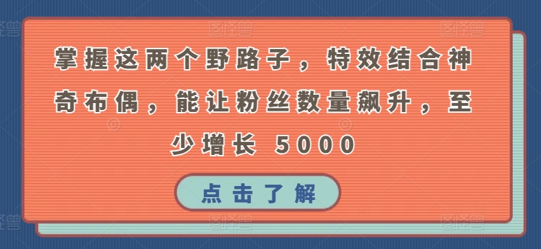掌握这两个野路子，特效结合神奇布偶，能让粉丝数量飙升，至少增长 5000-搞钱花