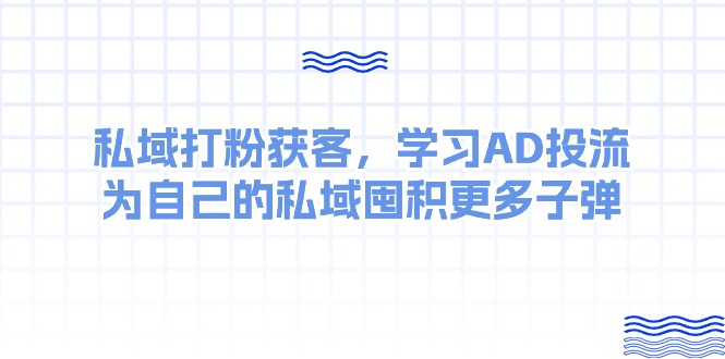 （10728期）某收费课：私域打粉获客，学习AD投流，为自己的私域囤积更多子弹-搞钱花