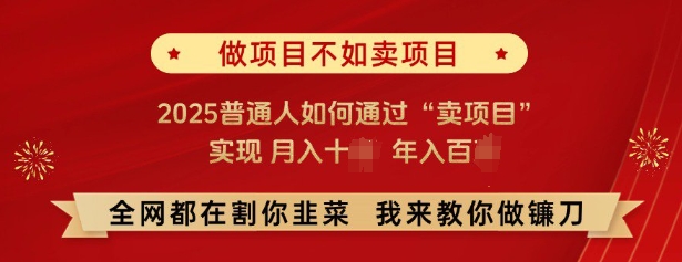 必看，做项目不如卖项目，2025普通人如何通过“卖项目”实现月入十个，年入百个-搞钱花