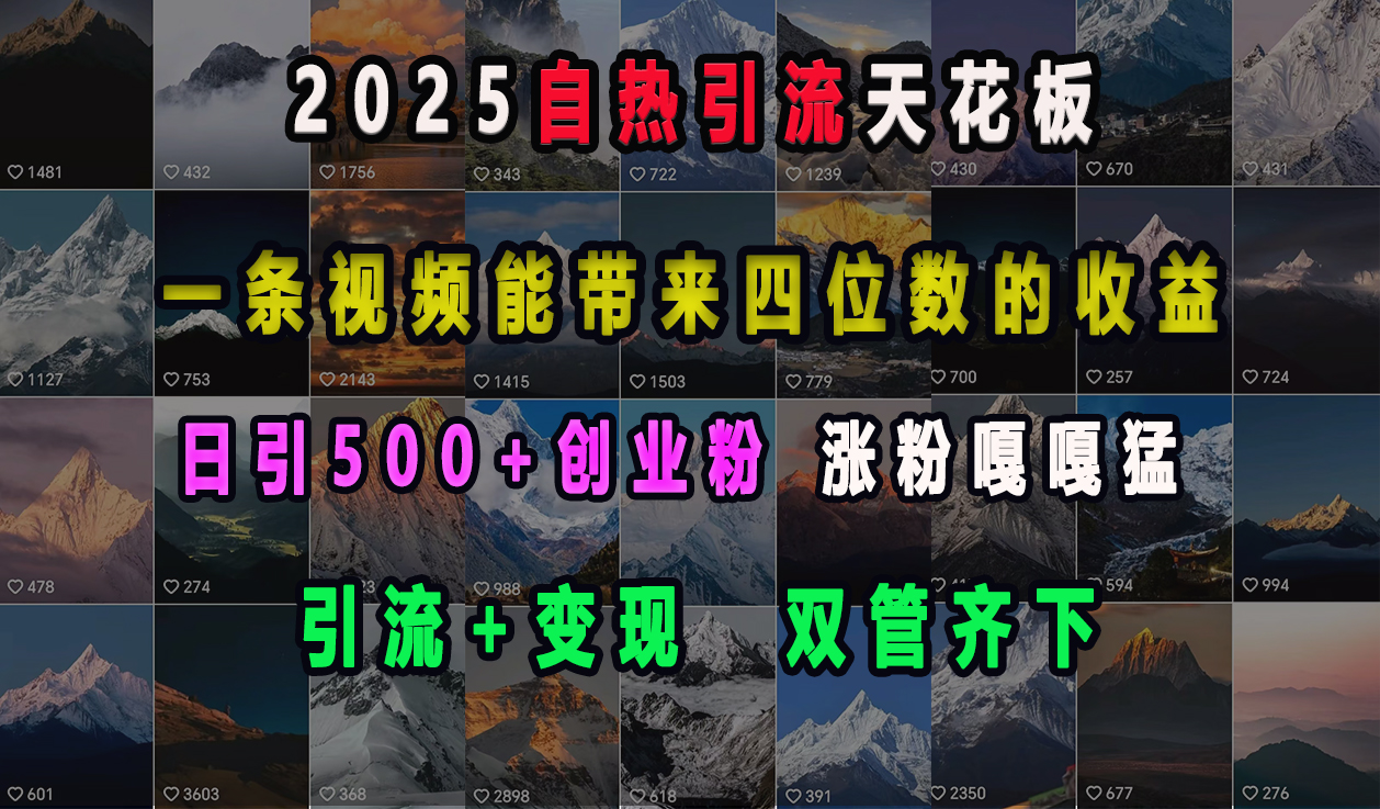 2025自热引流天花板,一条视频能带来四位数的收益,引流+变现双管齐下,日引500+创业粉,涨粉嘎嘎猛-搞钱花