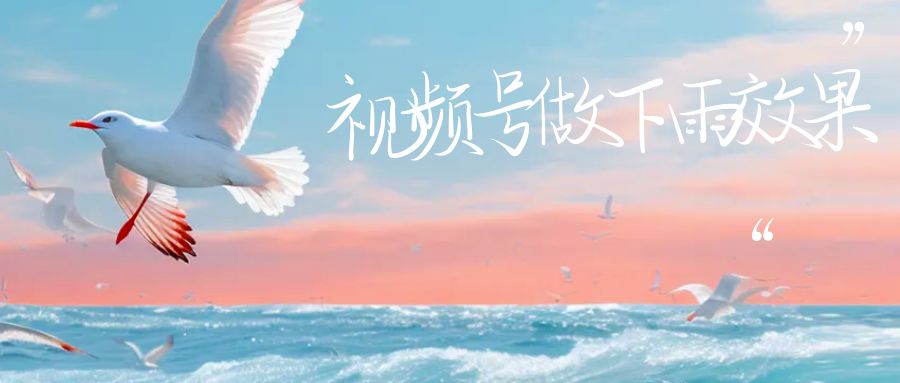 视频号做下雨视频一个账号一周涨粉10W+年入100w-搞钱花