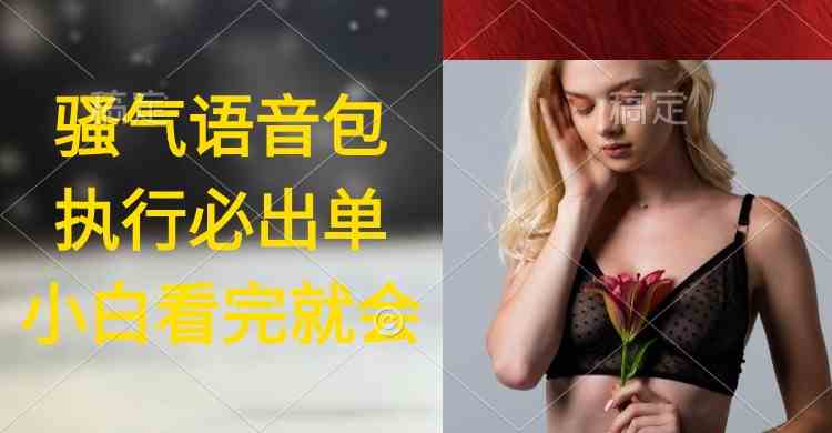 （9589期）执行就出单，日入2000+，超火骚气语音包，小白看完课程就能马上实操-搞钱花