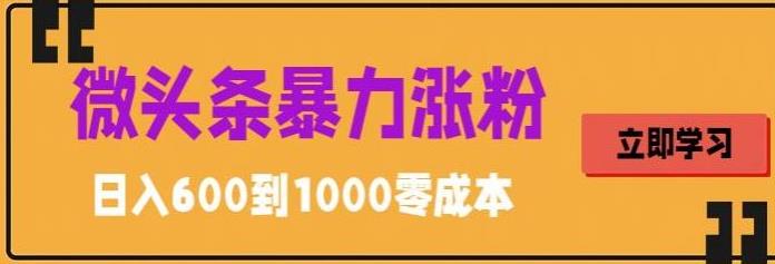 微头条暴力涨粉技巧搬运文案就能涨几万粉丝，简单0成本，日赚600-搞钱花