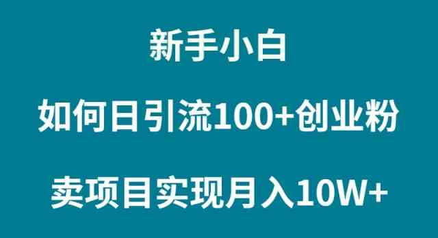 （9556期）新手小白如何通过卖项目实现月入10W+-搞钱花