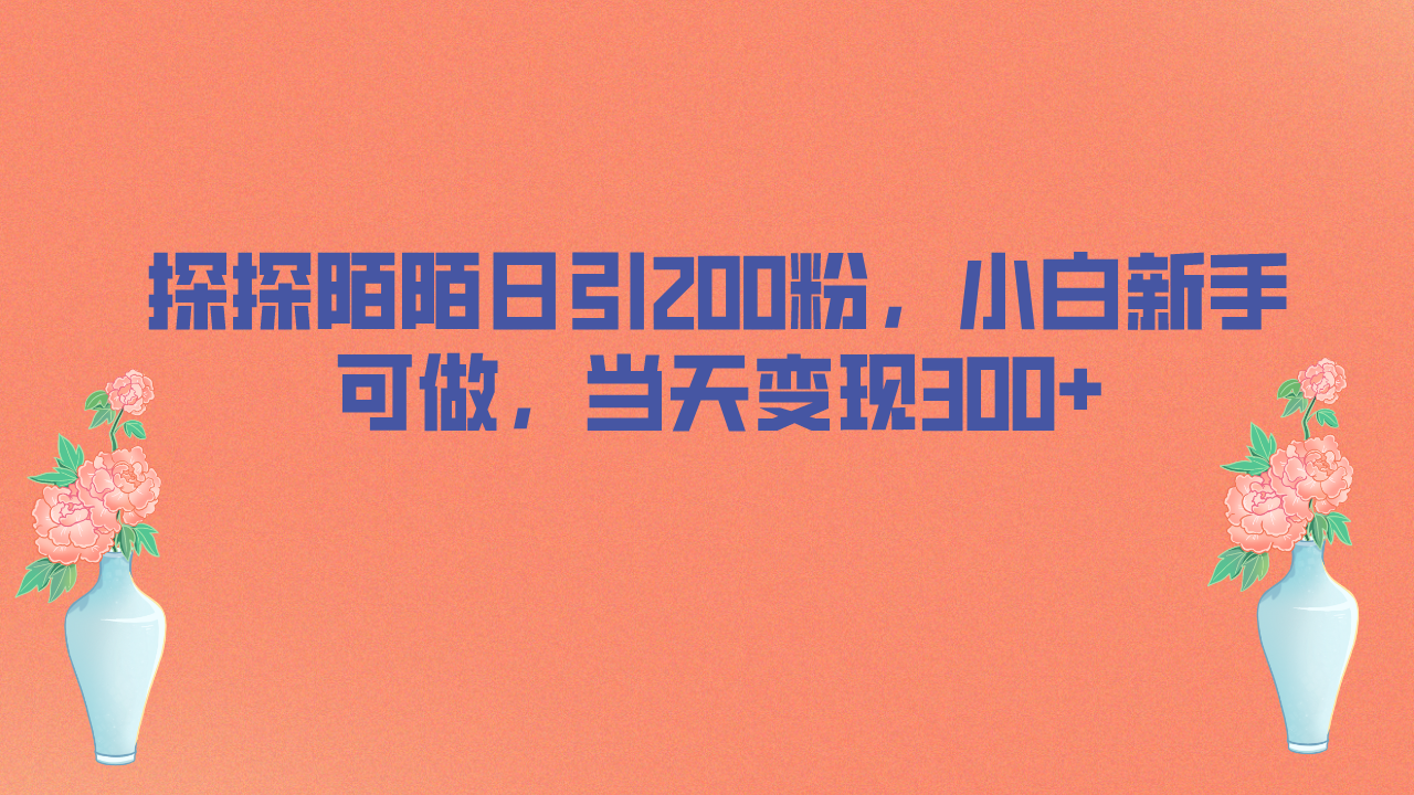 探探陌陌日引200粉，小白新手可做，当天就能变现300+-搞钱花