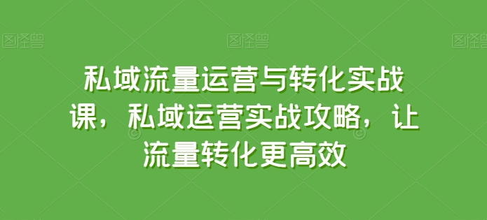 私域流量运营与转化实战课，私域运营实战攻略，让流量转化更高效-搞钱花
