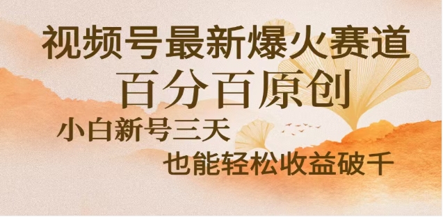 视频号独家玩法，老年养生赛道，无脑搬运爆款视频，日入2000+-搞钱花