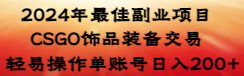 2024年最佳副业项目 CSGO饰品装备交易 轻易操作单账号日入200+-搞钱花