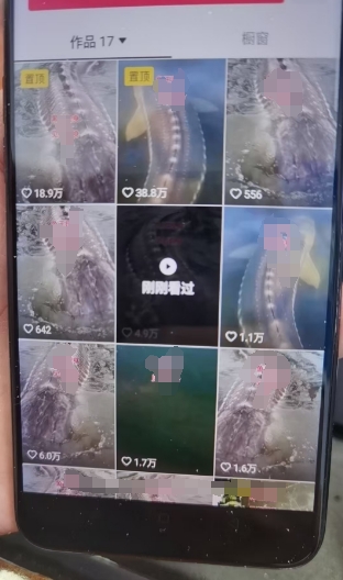 外面卖399的国学佛像原创暴力起号技术,快速起号,7天可达到一个万粉号