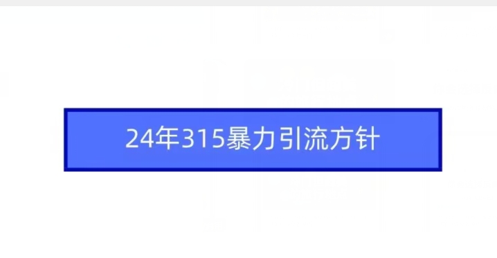 24年315暴力引流方针-搞钱花