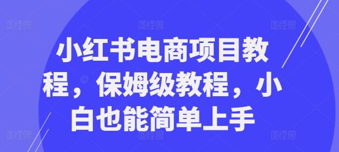 小红书电商项目教程，保姆级教程，小白也能简单上手-搞钱花
