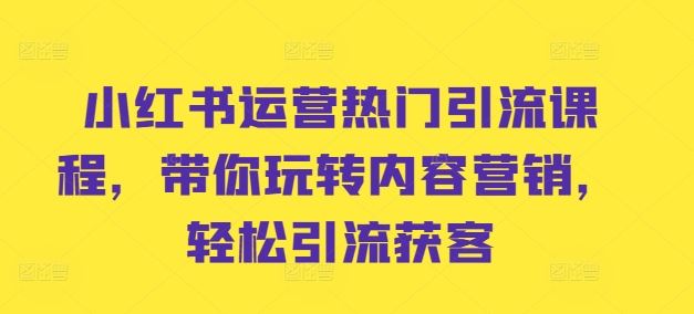 小红书运营热门引流课程，带你玩转内容营销，轻松引流获客-搞钱花