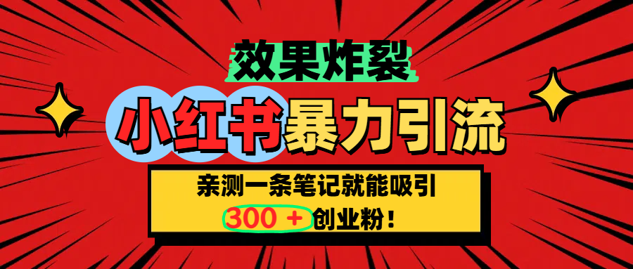 小红书炸裂玩法,亲测一条笔记就能吸引300+精准创业粉!-搞钱花
