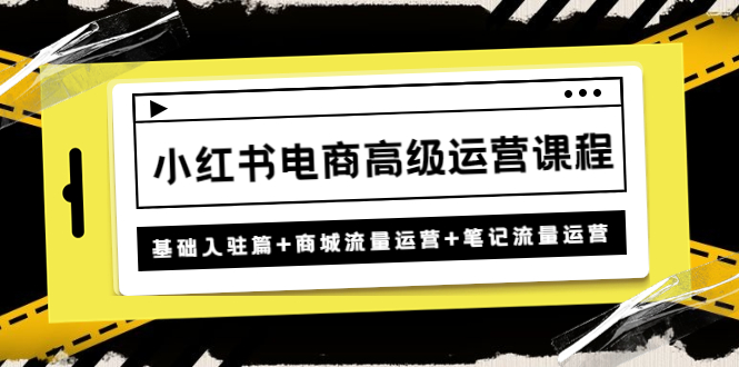 小红书电商高级运营课程：基础入驻篇+商城流量运营+笔记流量运营-搞钱花