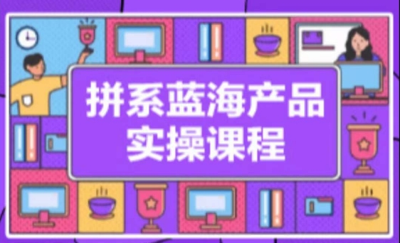 拼系冷门蓝海产品实操课程，从注册店铺到选品上架到流量维护环环相扣-搞钱花