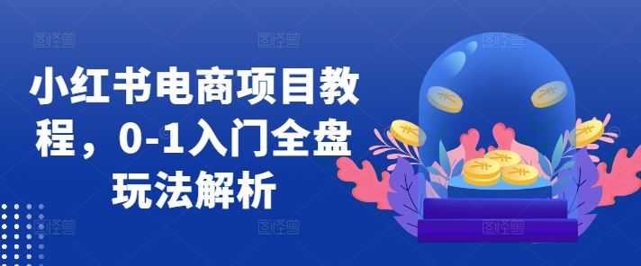 小红书电商项目教程，0-1入门全盘玩法解析-搞钱花