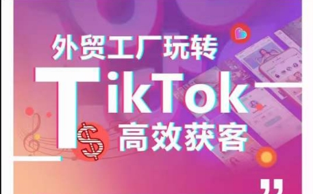 外贸工厂玩转TikTok高效获客，多种引流方式与账号定位技巧，拆解爆款短视频打造成功案例-搞钱花