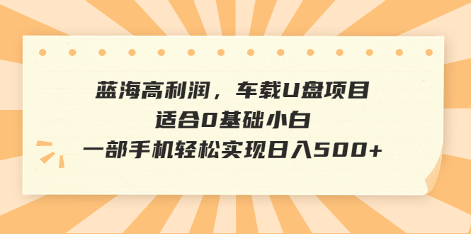 蓝海高利润,车载U盘项目,适合0基础小白,一部手机轻松实现日入500+-搞钱花